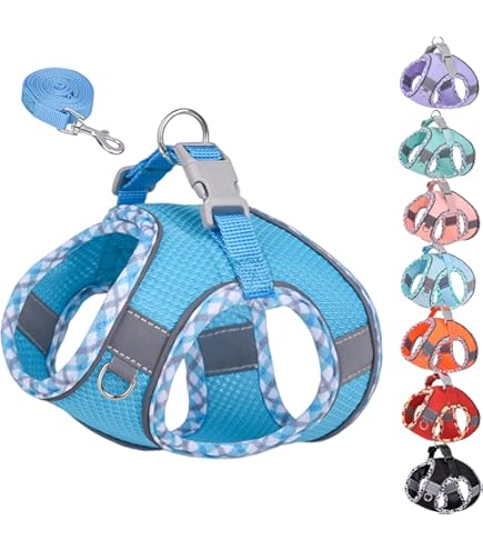 Juicy Coutureジューシークチュール 小型〜中型犬 首輪リードセット