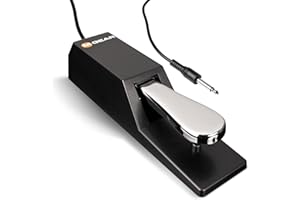 M-Audio SP 2 - Universal Sustain Pedal with Piano Style Action For MIDI Keyboards, Digital Pianos & More
