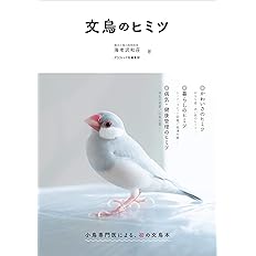 すぴすぴ便り 白文鳥偏愛通信 花とゆめcomics 立花晶 本 通販 Amazon