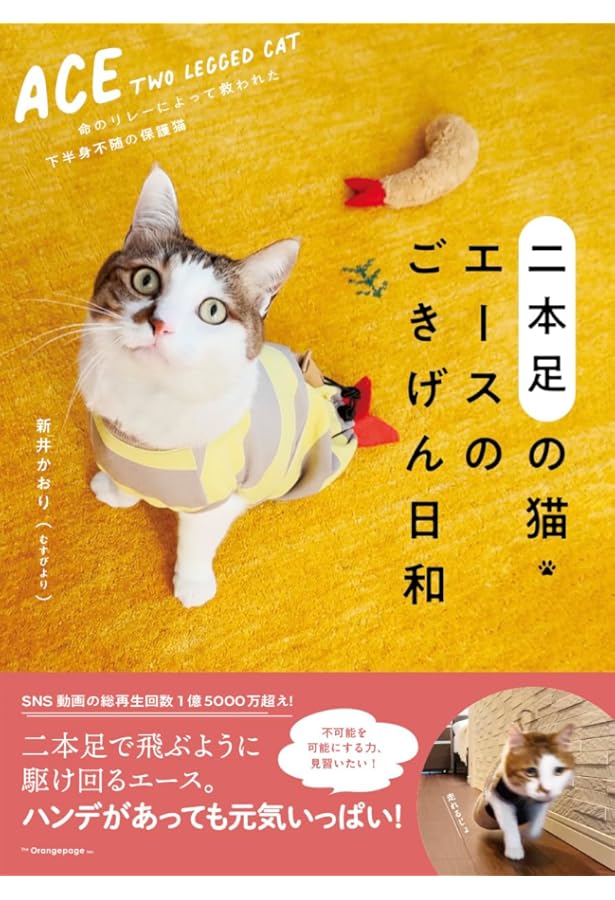 みけちゃん永遠物語: にゃん生“はなまる”にゃわ | 村上 しいこ |本