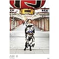 ヒツジヒツジ