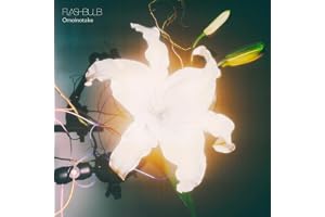 FLASHBULB