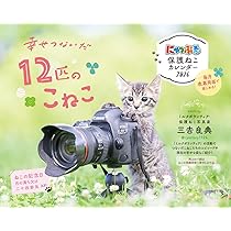Amazon.co.jp: にゃっぷる 保護ねこカレンダー2026 卓上版「幸せつない