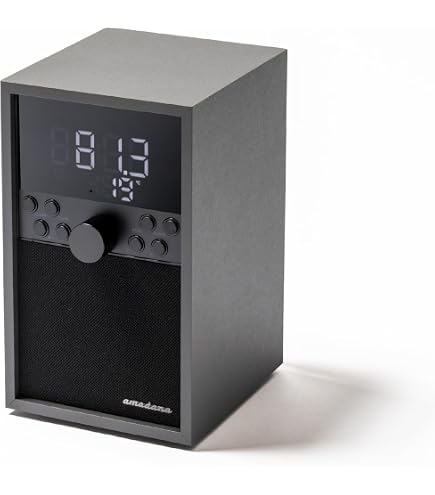 Amazon.co.jp: ロバーツ ラジオ Roberts Radio R300 レザークロス