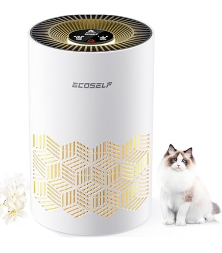 Amazon | 7NM 空気清浄脱臭機 日本ブランド 小型 光触媒 除菌 卓上