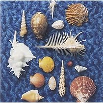 Amazon.co.jp: CYCLE HIT 1991-1997 Spitz Complete Single Collection