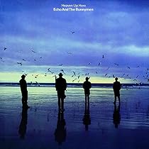 Amazon.co.jp: エコー＆ザ・バニーメン, -, - : 【Amazon.co.jp限定