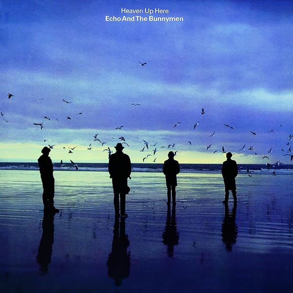 Amazon.co.jp: エコー＆ザ・バニーメン, -, - : 【Amazon.co.jp限定