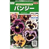 サカタのタネ 実咲花6660 パンジー シャロンジャイアントミックス 00906660