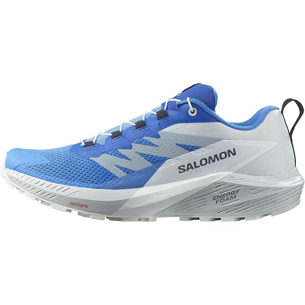 Amazon | サロモン SALOMON SENSE RIDE 5 GTX トレイルランニング