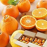 伊藤農園 春柑橘 お楽しみ箱 訳あり (5kg)