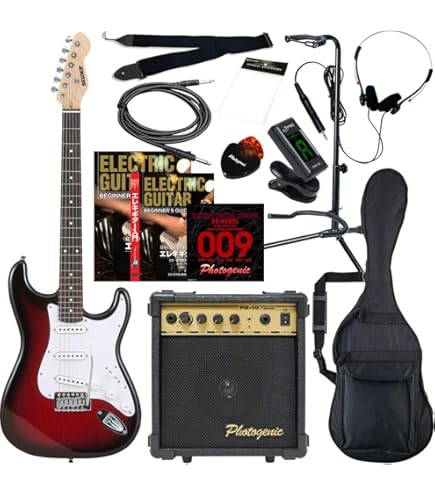 Maison ギター Ibanez John Scofield Signature Electric Guitar Two-tone