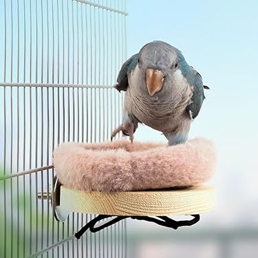 Amazon.co.jp 売れ筋ランキング: 鳥用止まり木 の中で最も人気のある