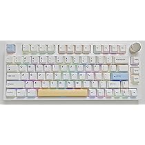 Keydous NJ80 ホワイト 英語配列 キーボード Amazon | keydous NJ80-AP Wireless Mechanical Keyboard with