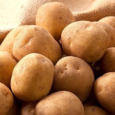 maki…じゃがいも30キロ maki…じゃがいも30キロ 楽天市場】じゃがいも 30kgの通販