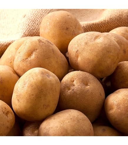 Amazon.co.jp: 鹿児島県産 徳之島じゃがいも 10kg (2Lサイズ) : 食品
