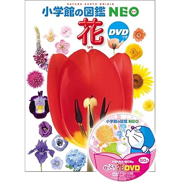 Amazon.co.jp 売れ筋ランキング: 花卉園芸・花づくり の中で最も人気の