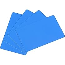 【非売品】SPEEDプラスチックカード NM] Shibuya's Pikachu Pokemon Card Japanese 002/S-P PROMO