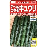 サカタのタネ 実咲野莱0407 ずーっととれるキュウリ ずーっととれる 00920407