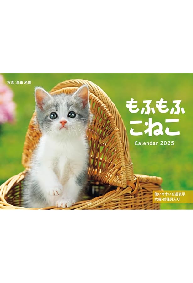 カレンダー2025 もふもふこねこ（月めくり/壁掛け） (インプレス