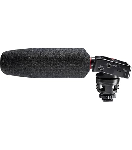 Amazon | TASCAM DRシリーズ用アクセサリーパック AK-DR11GMK2