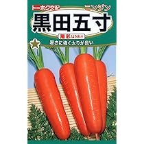 ニンジンくん あじわい五寸ニンジン | 花＆グリーン 通販 | ホームセンターの