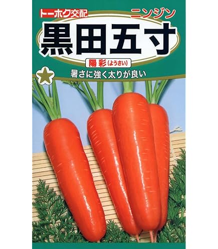 Amazon.co.jp: ニンジンの種 アロマレッド ペレット1万粒 : DIY・工具