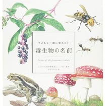 子どもと一緒に覚えたい 野鳥の名前 (momobook) | 山﨑宏, momo編集部