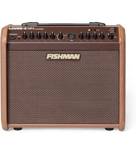 FIREGLOW sta-80 ストリートアンプ　未使用品 FIREGLOW sta-80 ストリートアンプ 未使用品 FIREGLOW STA-80BK