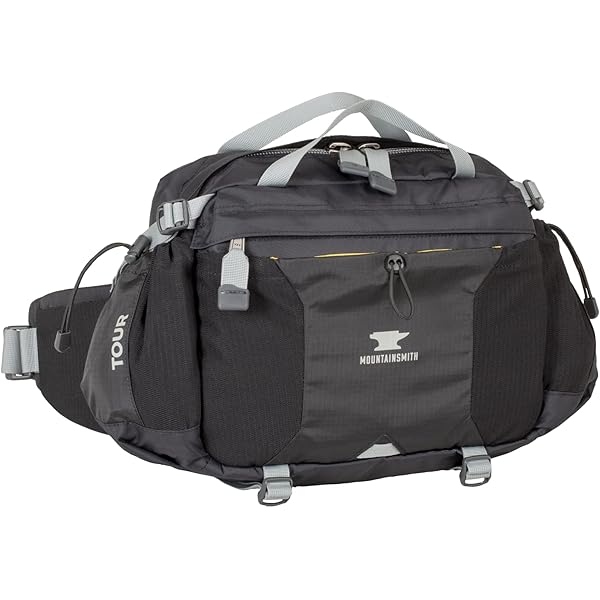 Amazon.co.jp: Mountainsmith Day 腰用ウエストパック
