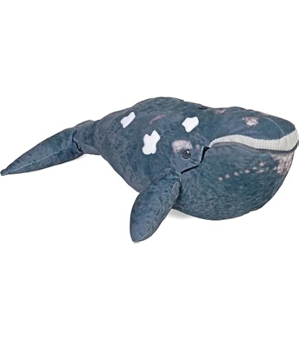 Amazon.co.jp: ワイルドリパブリック ザトウクジラ ぬいぐるみ クジラ