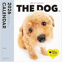 Amazon | ラガディ・アン＆アンディ 2026年壁掛けカレンダー メーカー