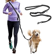 【パンダ犬】 スペイン製 高級犬用リード PETTENA Select 犬用快適リード付き首輪セット（1.2m）