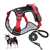 中型犬　ハーネス ハキハナ　Sサイズ おまけにもう1本 Amazon | 獣医師推奨【Haqihana ハキハナ】 ハーネス・胴輪