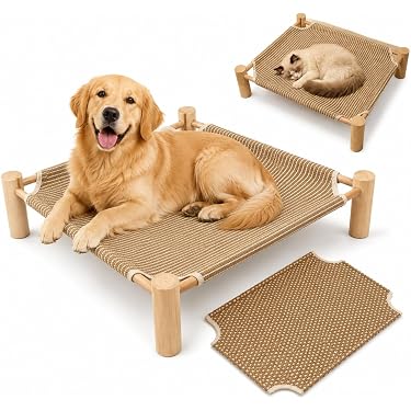 Amazon.co.jp 最新リリース: 犬用ベッド・クッション の新着ランキング