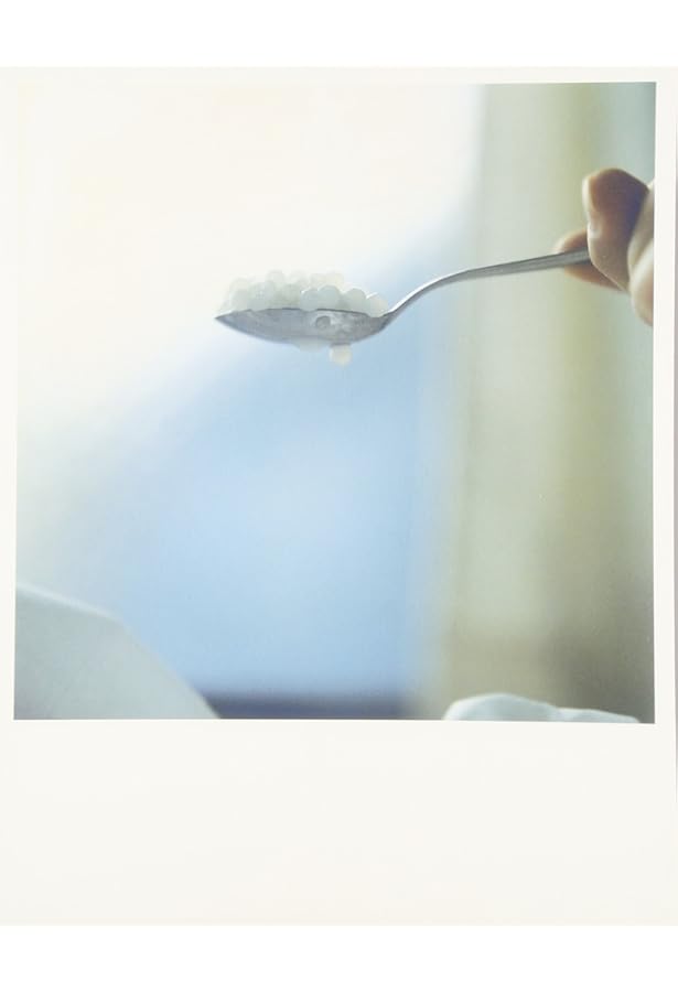 AILA: 川内倫子写真集 | 川内 倫子 |本 | 通販 | Amazon