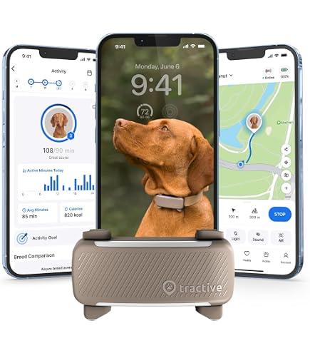 Amazon.co.jp: Tractive GPSドッグトラッカー 並行輸入 : ペット用品
