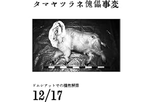 神の目覚めを望む者 タマヤツラネ傀儡事変