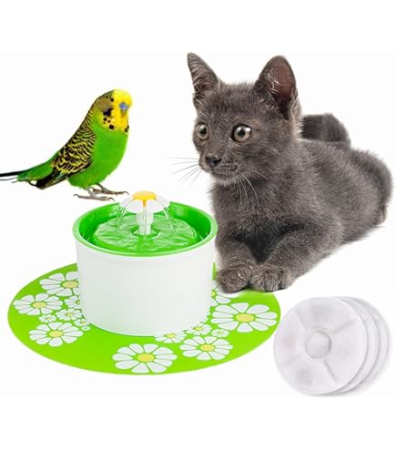 Amazon.co.jp: GEX EXOTERRA スクリーンテラリウム4590 PT2677 爬虫類