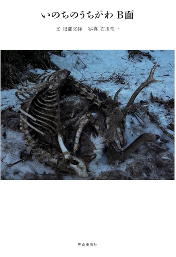 絶景のポリフォニー | 石川竜一 |本 | 通販 | Amazon