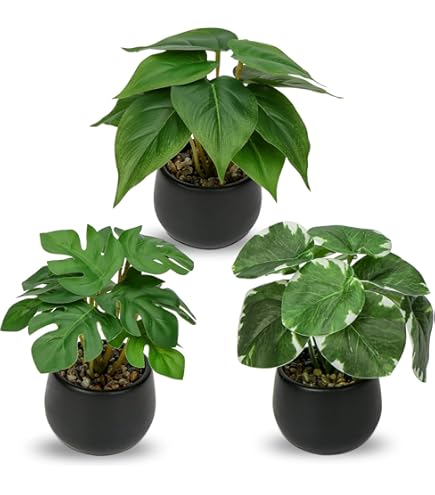 Amazon｜QUMIIRITY 4個人工観葉植物 黒鉢付き フェイクグリーン 小型