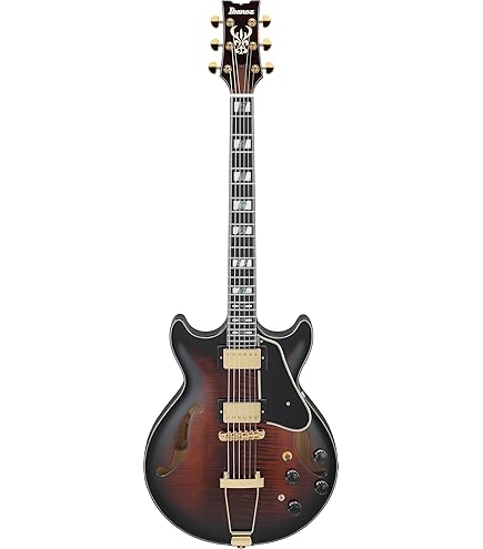Amazon | Ibanez(アイバニーズ) フルアコ Artcore Expressionist Black