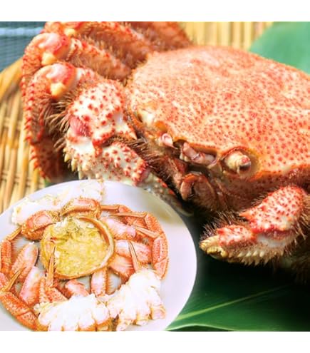 種類5:[5]1キロ/年始1月1日 お歳暮 冬ギフト お年賀 最高ランク 北海道