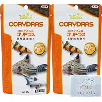 Amazon | キョーリン ひかりクレスト コリドラス 80g 2個 クレスト