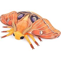 Amazon.co.jp: ZHONGXIN MADE ポリフェモスモス ポリフェモス蛾