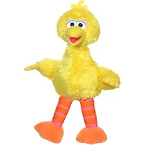 big bird teddy