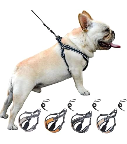 新品！！SPARK PAWSハーネス&リードセット 81oiklBK4qL._UF894,1000_QL80_.jpg