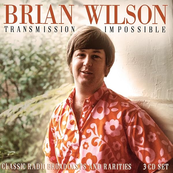 Amazon.co.jp: Brian Wilson: Music
