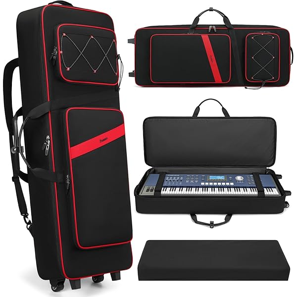 Amazon.co.jp: CLAVIA Nord Soft Case LEA1 LEAD A1用ソフトケース