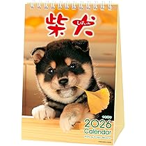 Amazon | アクティブコーポレーション 2026 カレンダー 壁掛け